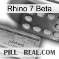 Rhino 7 Beta 36